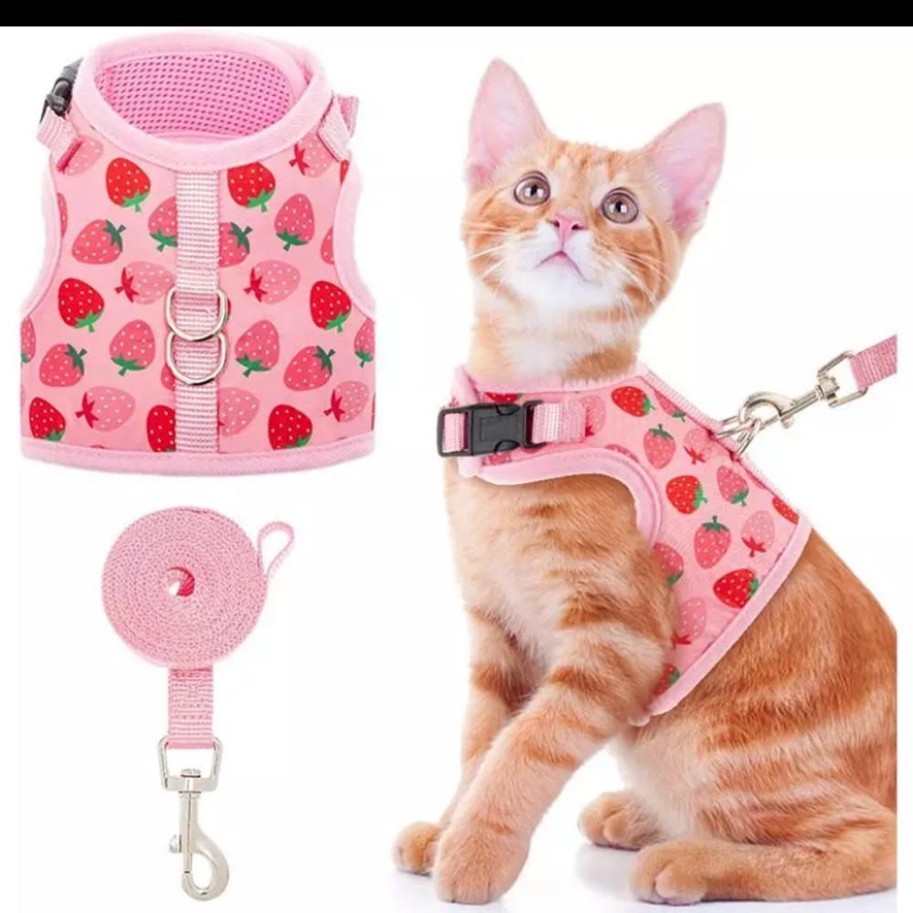 Leash harness
